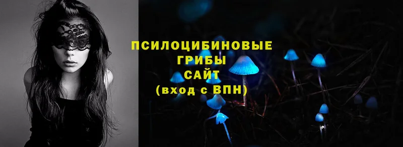 Галлюциногенные грибы Psilocybe  Гай 